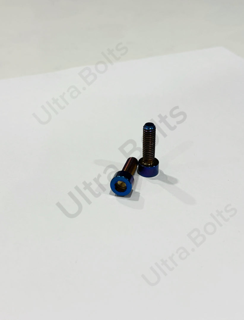 Ultra bee brake to bar mount Bolts