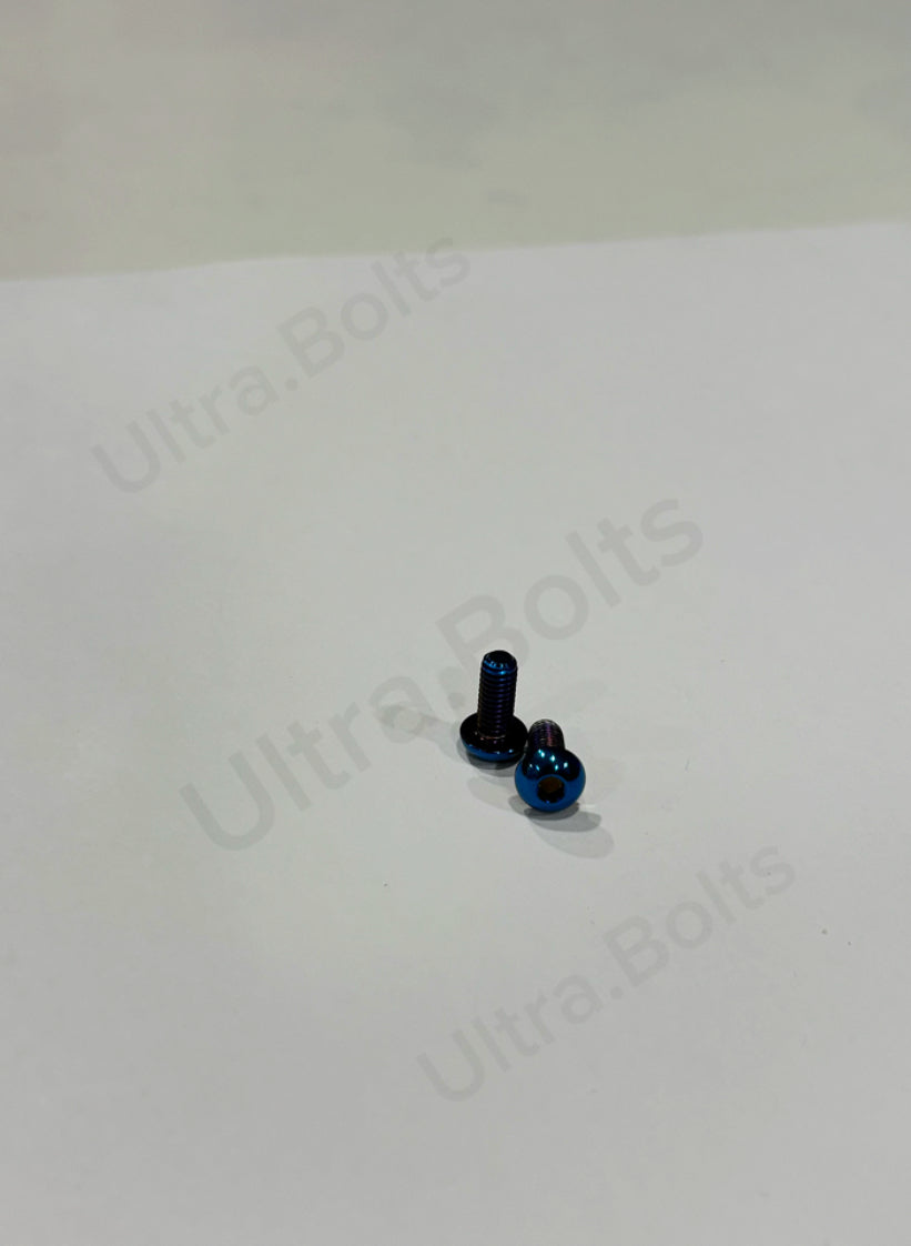 Ultra bee/Formula Brake reservoir Bolts